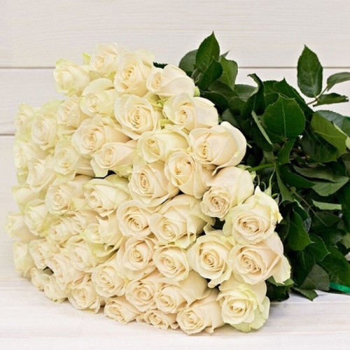 51 White Rose - 60 cm